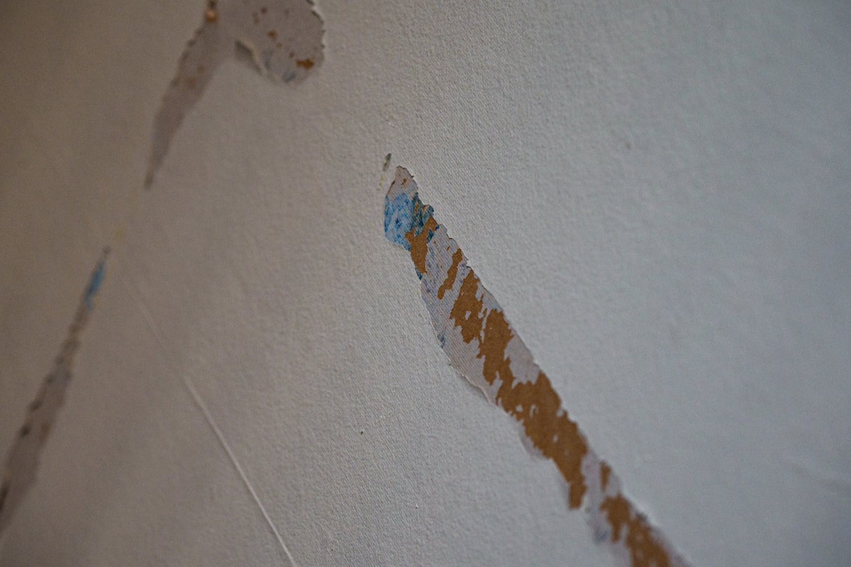 Basement Water Removal service in West Sacramento, CA